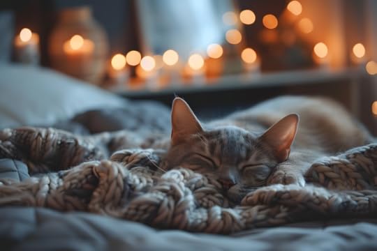 Tabby cat sleeping on a knitted blanket with out of focus candle light in the background.