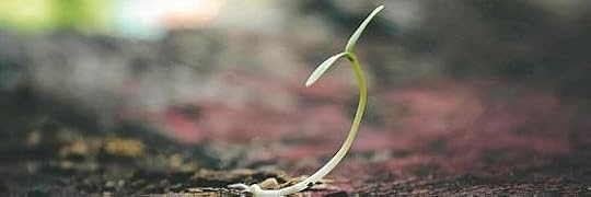 Recensione di Notte di vento che passa di Milena Agus