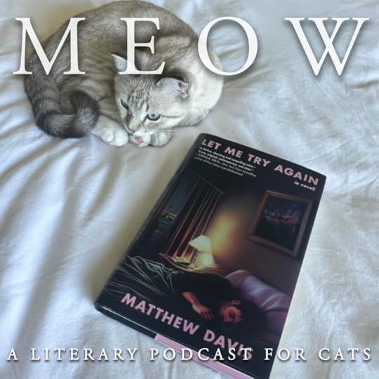 a cat curled up next to a copy of Matthew Davis' Let Me Try Again