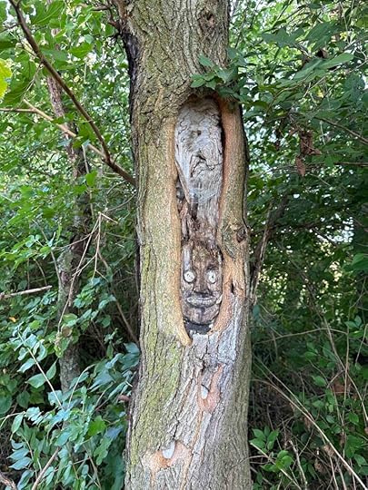tree face