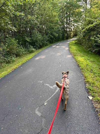 Sunny on the puffer belly trail