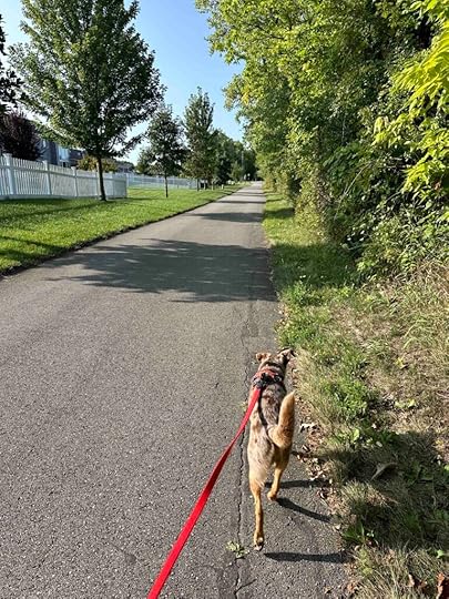 homes along the trail