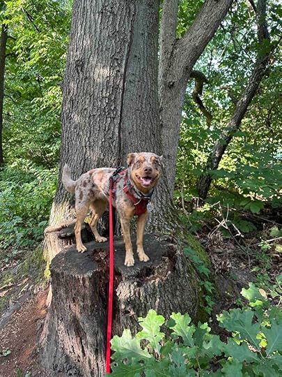 all smiles on the trail
