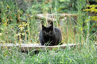 Hey! What are you looking at?