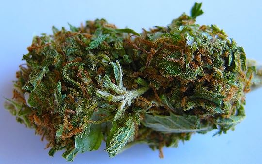 packwoods strawberry shortcake