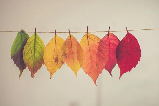 The Power of Transformation in Storytelling: Capturing the Journey