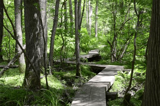 Declutter digital life blog post