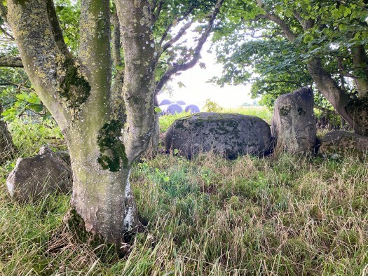 Netherton Stone Circle