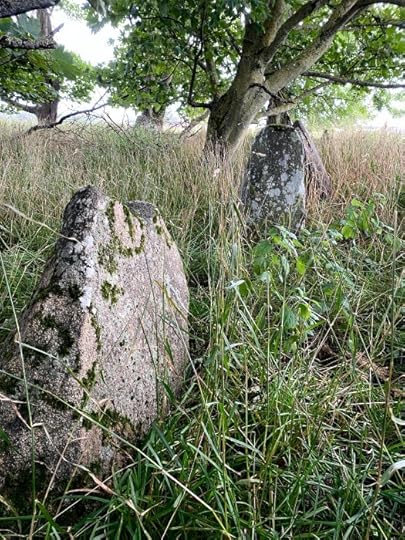 Netherton Stone Circle