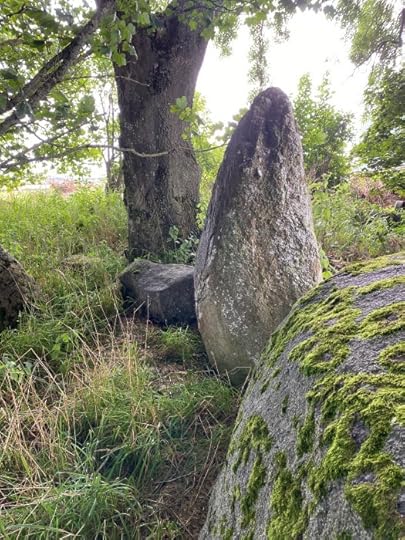 moss at Netherton Stone Circle