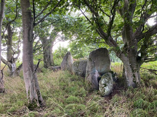 Netherton Stone Circle
