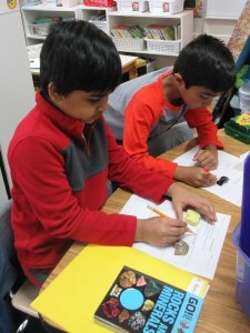 STEAM-Y Read Alouds: Igniting Curiosity and Expanding Knowledge