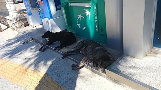 Two huge dogs, one black and one brindle brown, deeply asleep in the shade in front of some post boxes at the side of a road. They are lying facing away from one another but they look very companionable. 