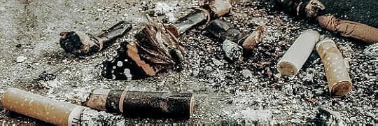 Recensione di Come piombo nelle vene di Helen Garner