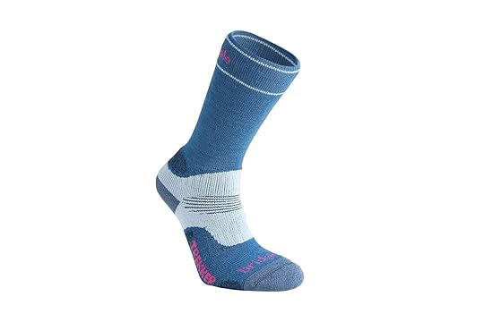 bridgedale sock