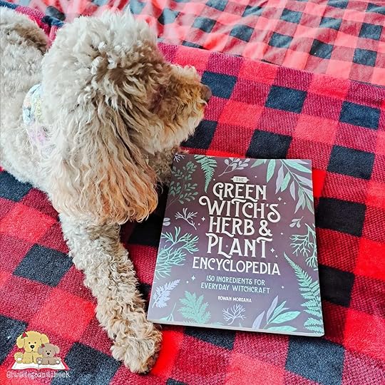 A small poodle is lying on a bed with a softcover book to the right.