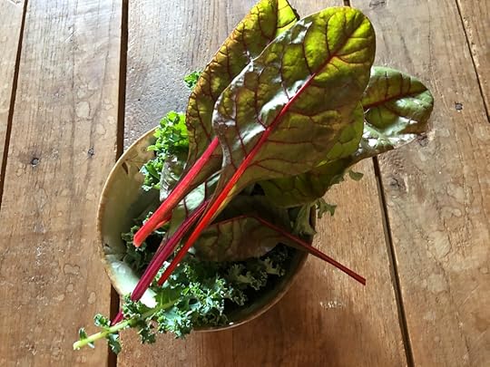 A bowl full of kale and swiss chard from my garden.