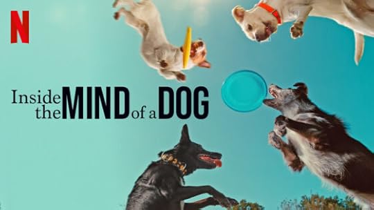 Inside the Mind of a Dog, capturing life’s bark