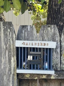 Birdhouse on a fence
