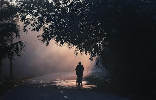 Elderly woman with a cane walking donw a tree-lined road with sunshine rays coming through.