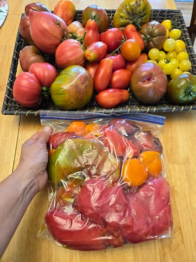 A tray of fresh tomatoes and a bag of cored tomatoes ready for the freezer.