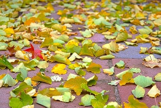 Mutli-colored scattered autumn leaves on a brick surface.