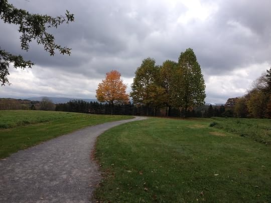 Autumn trees