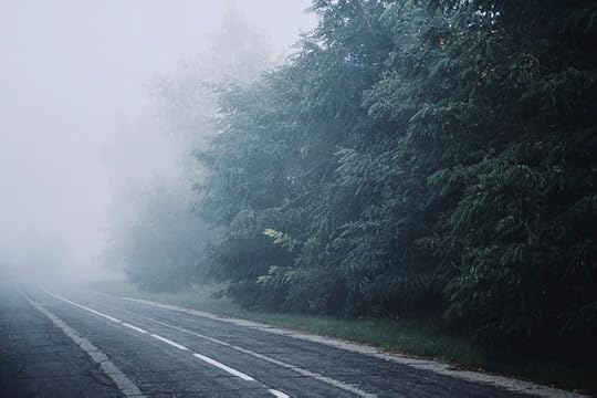 A tree-filled road shrouded in fog.
