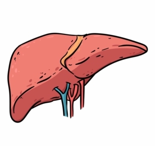alcohol impact lever