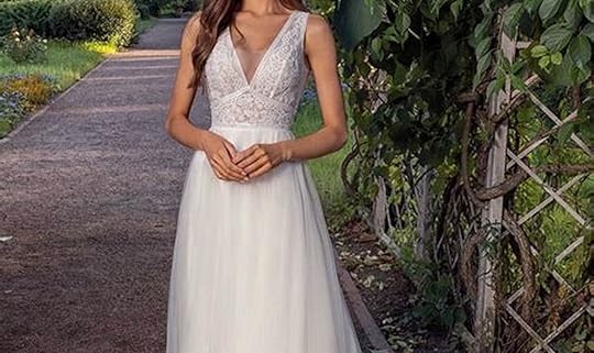 Timeless Elegance: V-Neck Aline Wedding Dress for Your Unforgettable Day