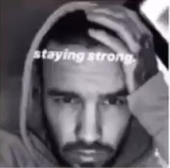 88eaf271d4220c83a0d1dea7904f6ed6