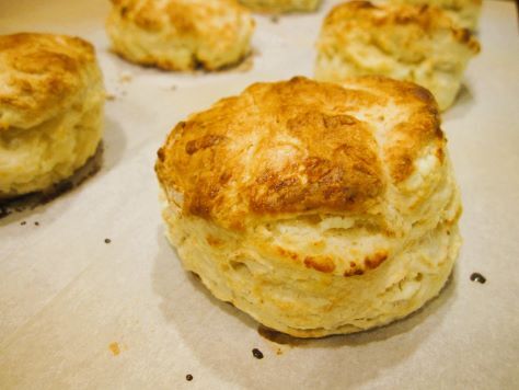 Bready or Not Original: Goat Cheese Biscuits
