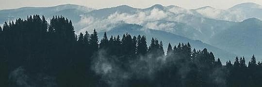 Recensione di Il sentiero selvatico di Matteo Righetto