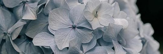 Recensione di Il profumo dei giorni perduti di Ondine Khayat