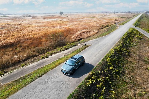 The Kia Niro EV cruising by a field of golden reeds. From How To Plan A Fantastic Group Road Trip