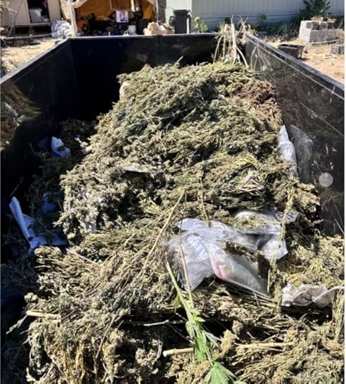 The Monterey County Sheriff's Office found a total of 196 pounds of processed cannabis, along with 103 cannabis plants still under cultivation. (Photo courtesy of the Monterey County Sheriff's Office)