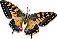 Fairytale Flash Fiction Short Story