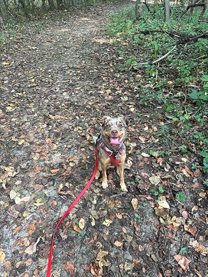 pretty girl and the leaves