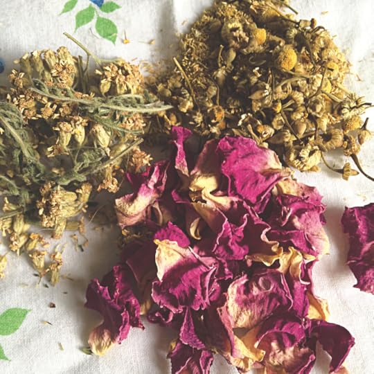 dried rose petals, chamomile flowers, and yarrow flowers on a handkerchief
