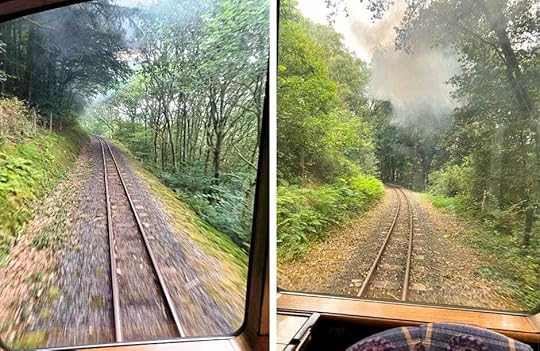 A swirling smoky tunnel formed by lines of bowing trees behind the train
