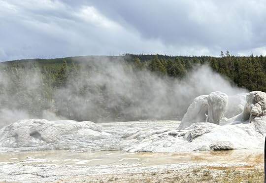 Norris Basin wild life geyser