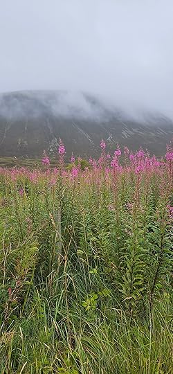 20240904_105751.jpg