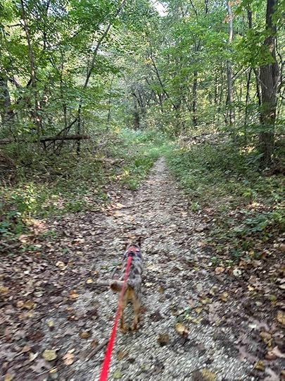 another trail at Deniston Natural Resource Area