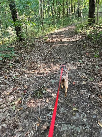 on the trail at Deniston Natural Resource Area