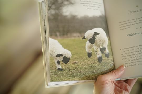 silly sheep jumping