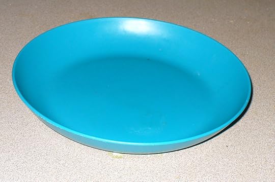 Your Zone plate features a raised rim that makes it travel friendly.