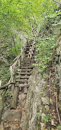 Част от стълбите по Екопътека 