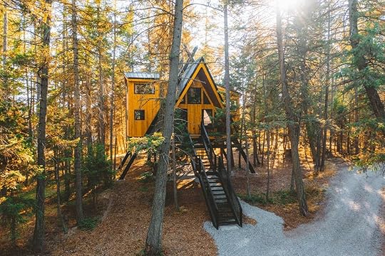 Raven's Nest Treehouse at MT Treehouse Retreat one of the best Airbnbs for Montana in the fall