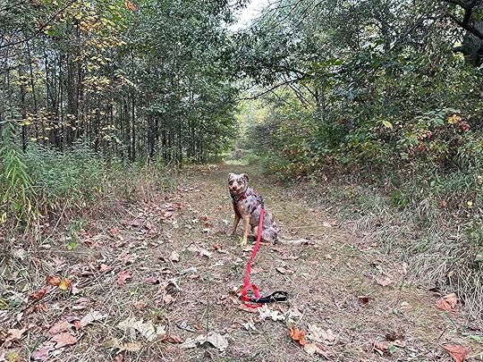 Douglas Woods Nature Preserve