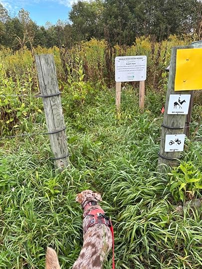 overgrown entrance to Douglas Woods Nature Preserve